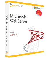 Microsoft SQL Server 2022 User CAL Microsoft SQL Server 2022 User CAL
