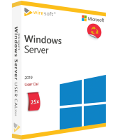 Microsoft Windows Server 2019 - 25 Pack User CAL Microsoft Windows Server 2019 - 25 Pack User CAL